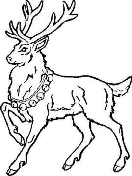 Dibujo de Reno Perfecto para Colorear