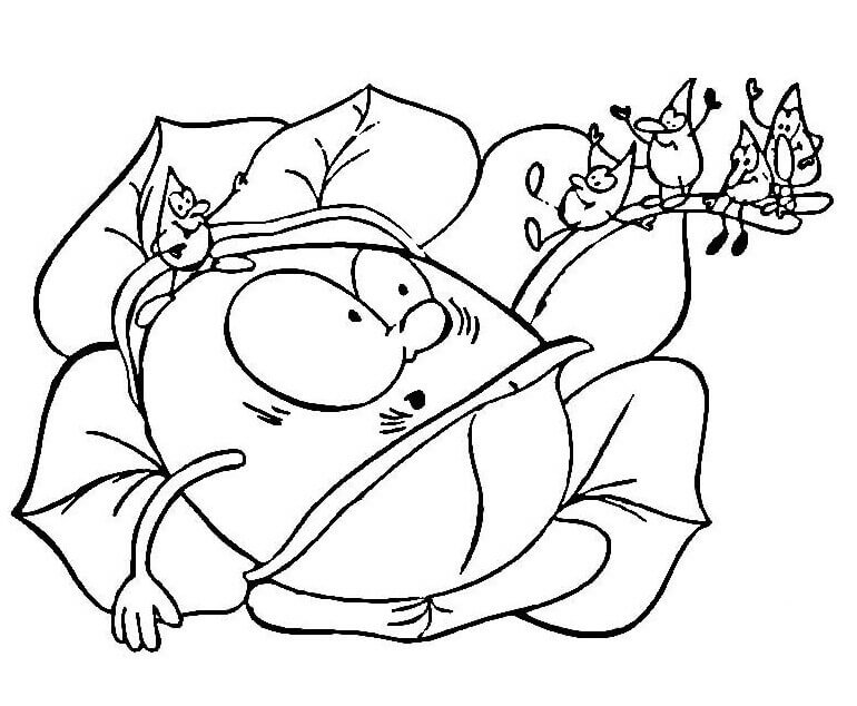 Dibujo de Repollo Divertido para Colorear