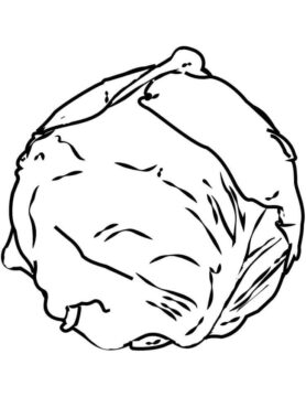 Dibujo de Repollo Simple 2 para Colorear