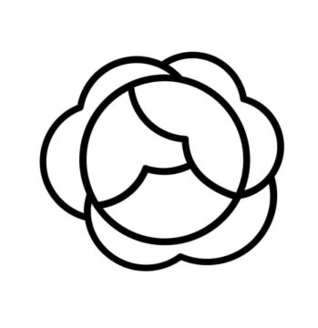Dibujo de Repollo Simple 4 para Colorear
