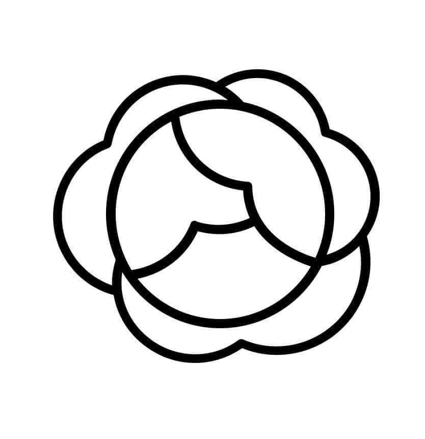 Dibujo de Repollo Simple 4 para Colorear