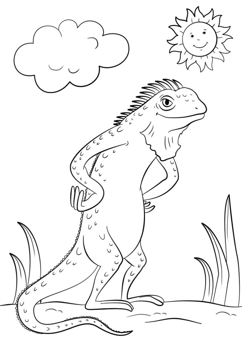 Dibujo de Lagarto Iguana de Dibujos Animados para Colorear