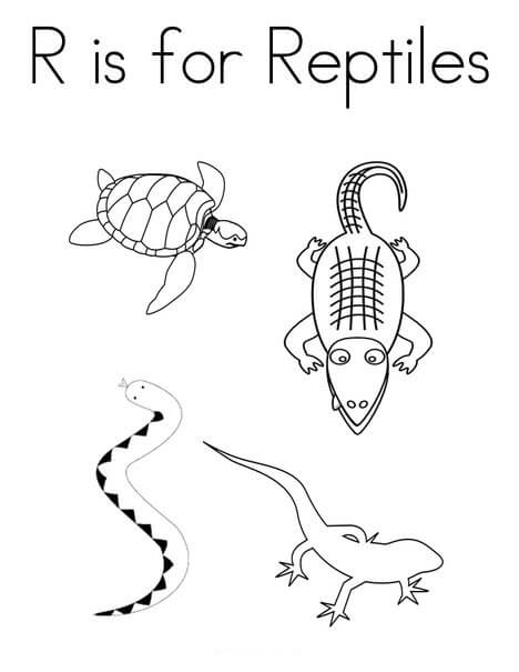 Dibujo de R Es para Reptiles para Colorear