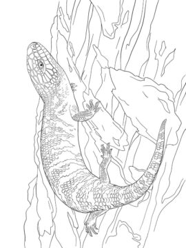 Dibujo de Shink de Lengua Azul del Este para Colorear