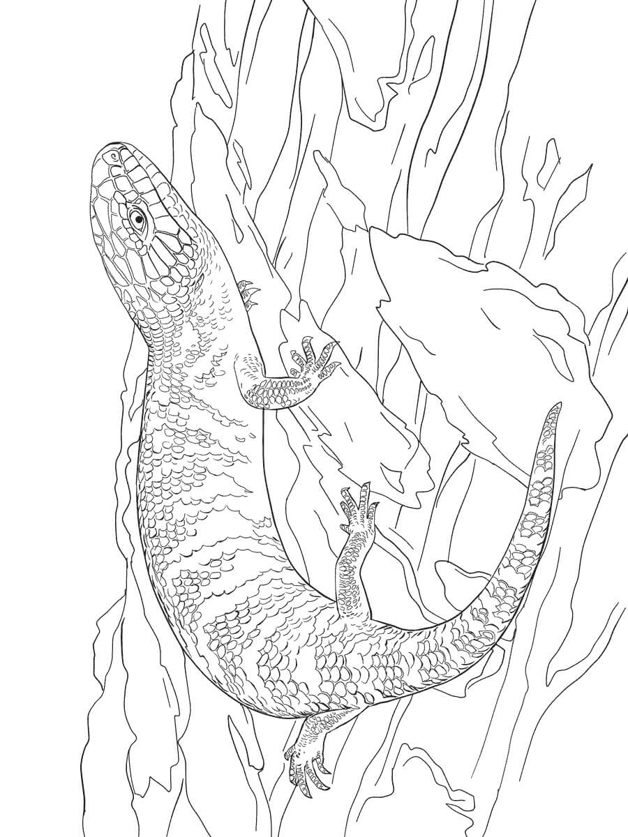 Dibujo de Shink de Lengua Azul del Este para Colorear