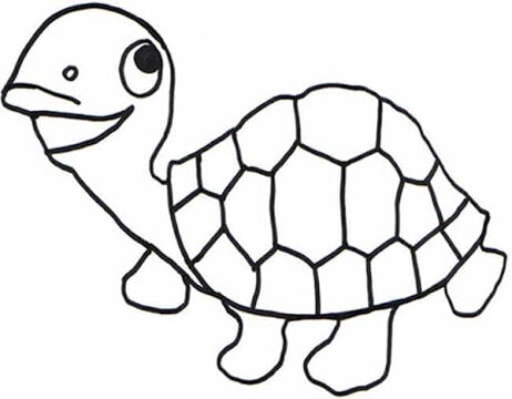 Dibujo de Tortuga Dibujo para Colorear