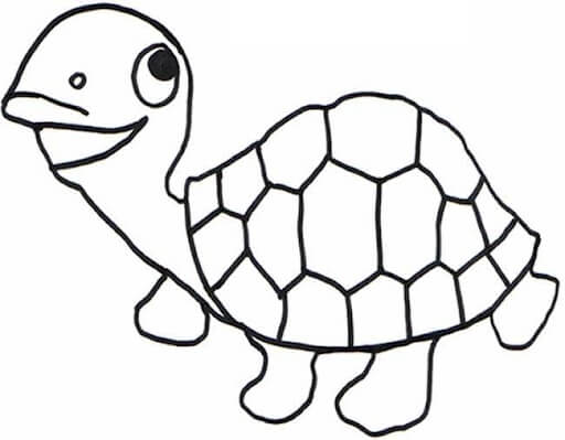 Dibujo de Tortuga Dibujo para Colorear