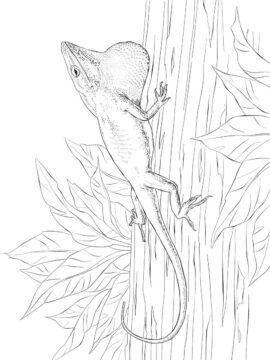 Dibujo de Un Anol Verde para Colorear