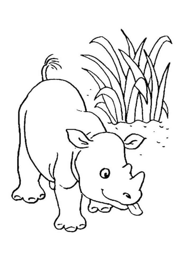 Dibujo de Adorable Rinoceronte para Colorear