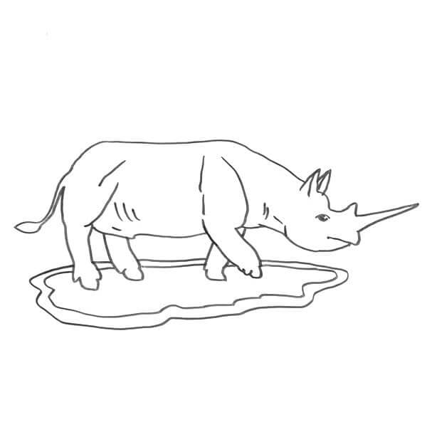 Dibujo de Rinoceronte Caminando para Colorear