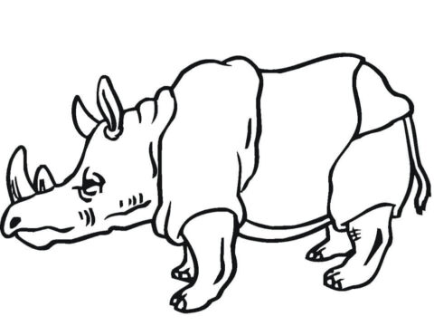 Dibujo de Rinoceronte Normal para Colorear