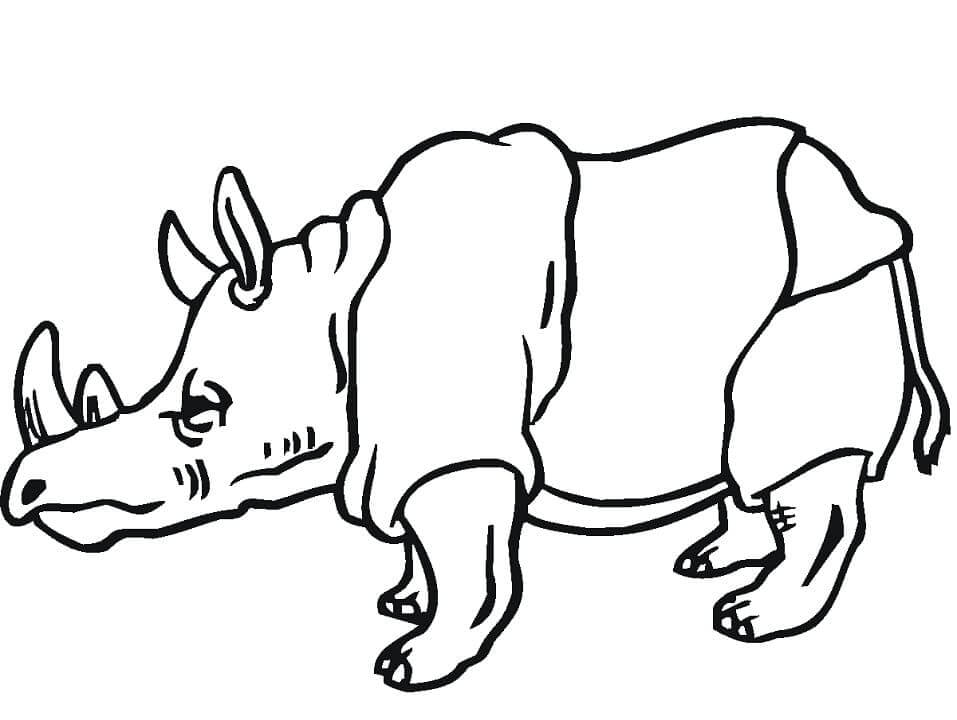 Dibujo de Rinoceronte Normal para Colorear