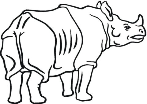 Dibujo de Trasero de Rinoceronte para Colorear