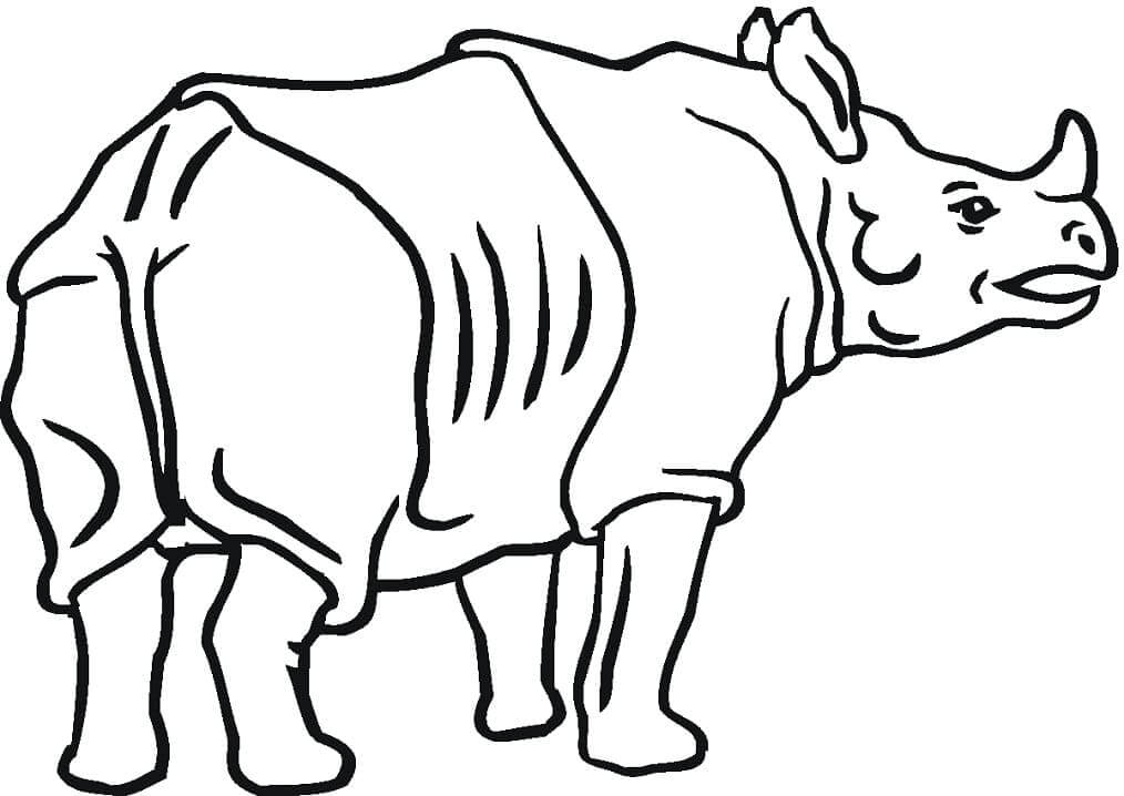 Dibujo de Trasero de Rinoceronte para Colorear