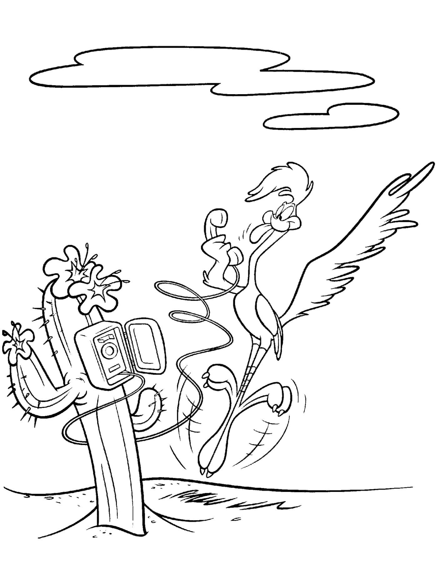 Dibujo de Road Runner Divertido para Colorear