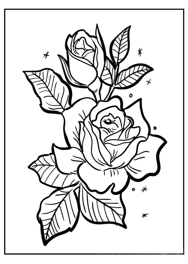 Dibujo de Bonita Rosa para Colorear