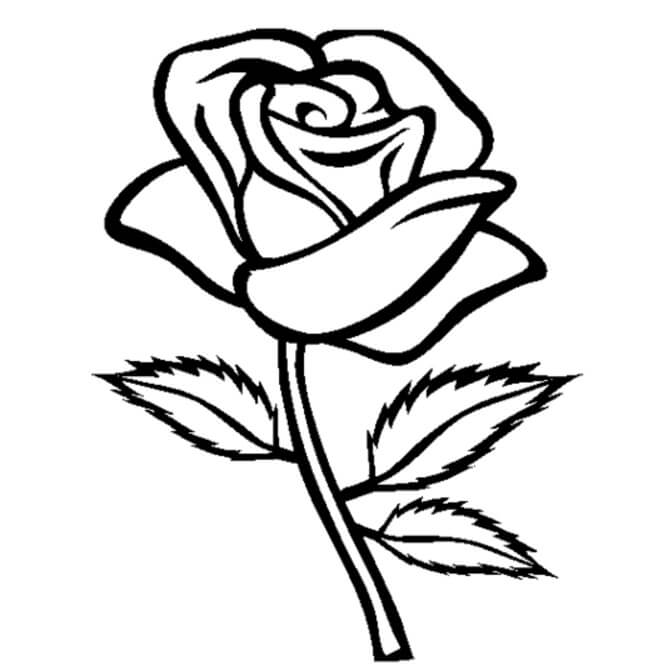 Dibujo de Rosa Impresionante para Colorear
