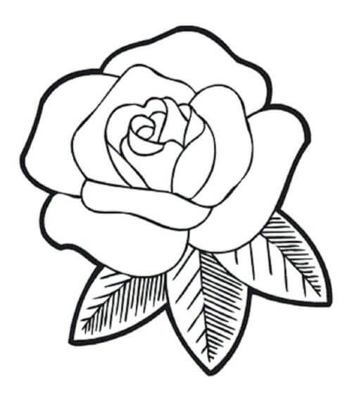 Dibujo de Rosa Simples para Colorear