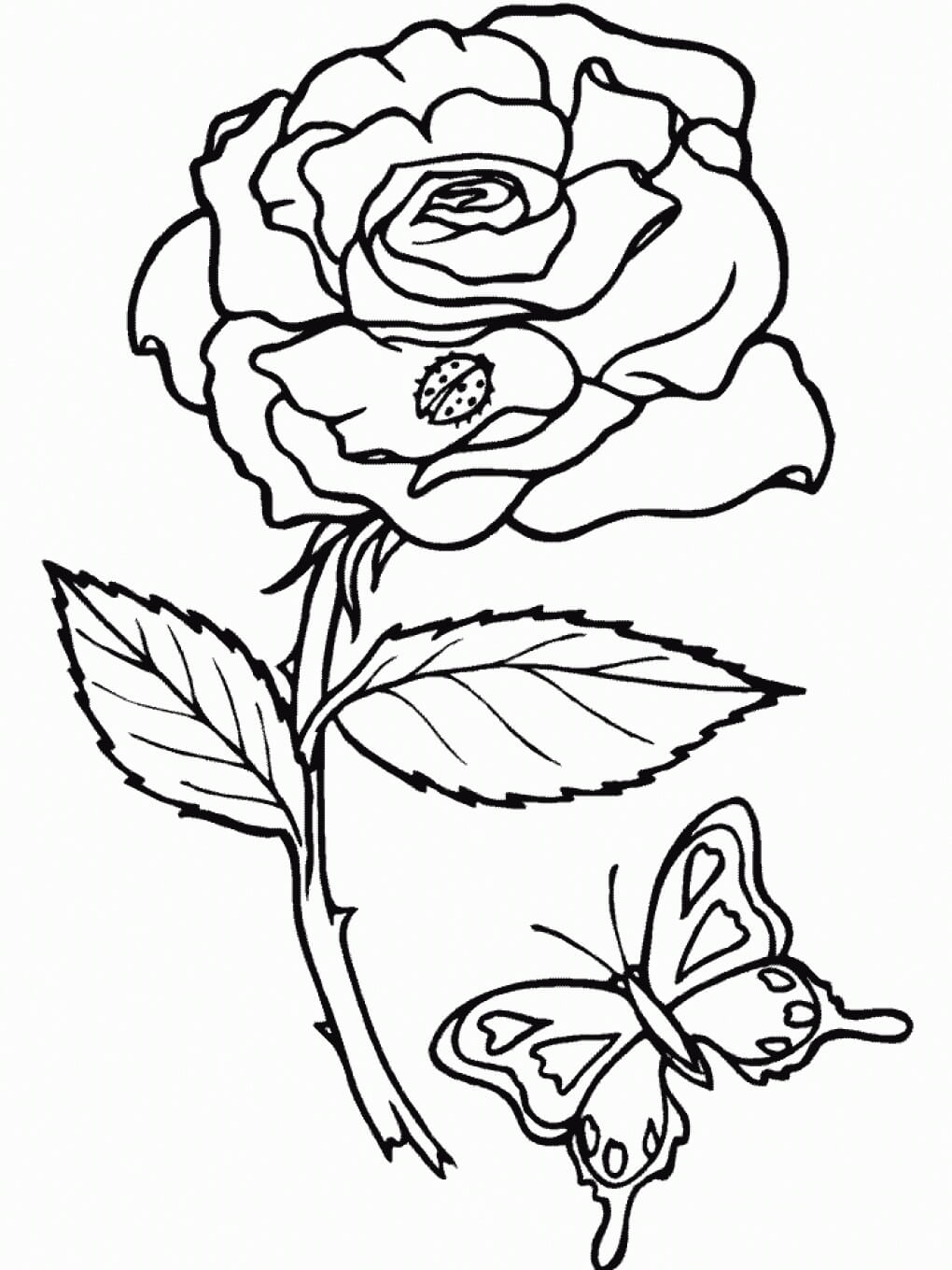Dibujo de Rosa y Mariposa para Colorear