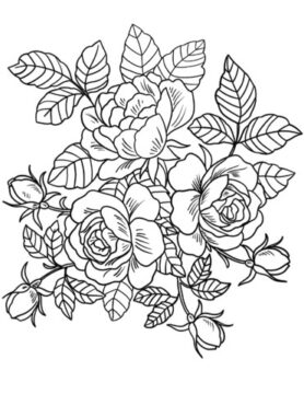 Dibujo de Rosas Hermosas para Colorear