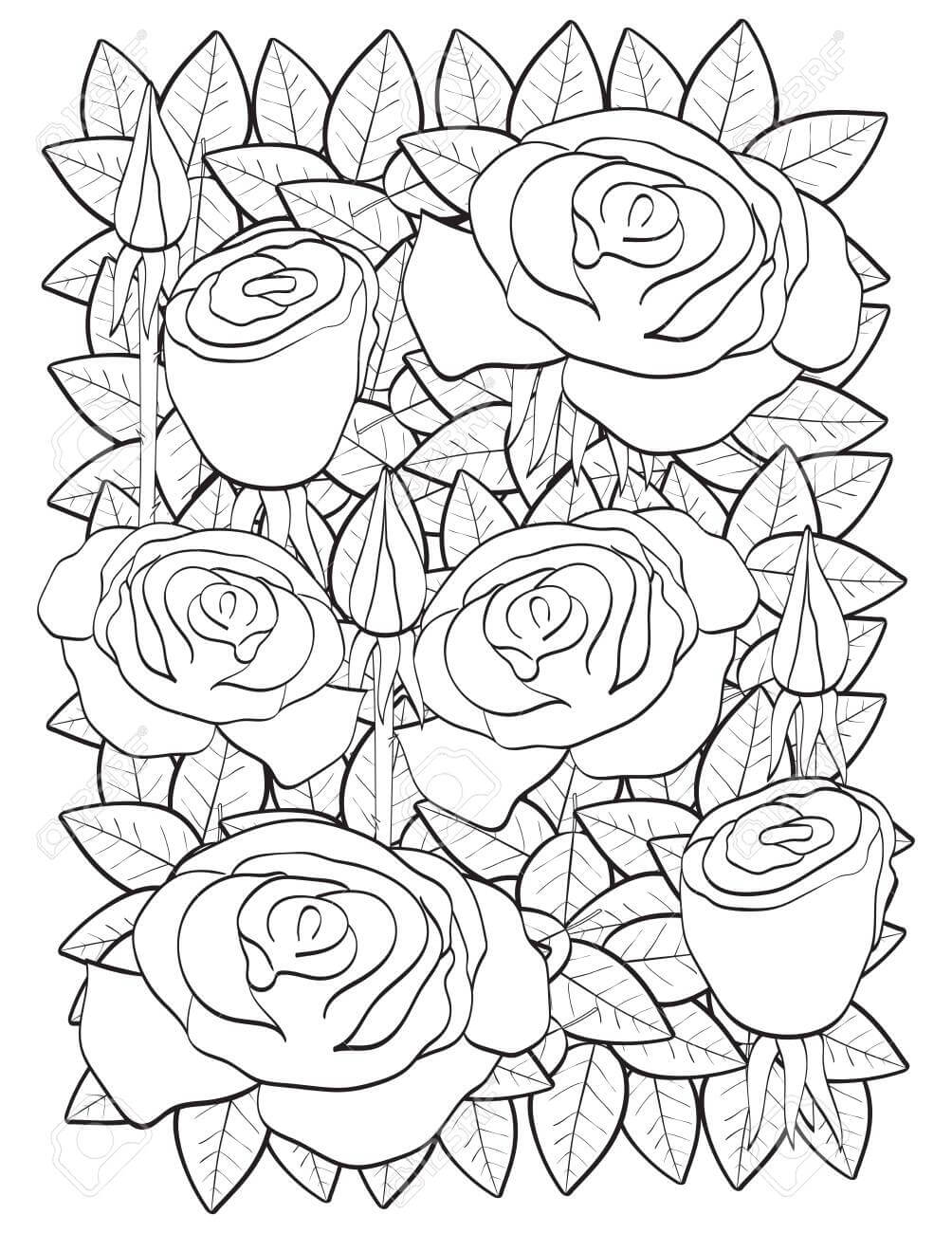Dibujo de Rosas para Colorear