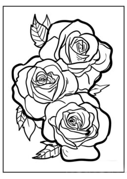 Dibujo de Tres Rosas para Colorear
