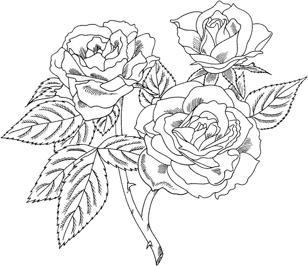 Dibujo de Árbol de Rosas con Hojas para Colorear