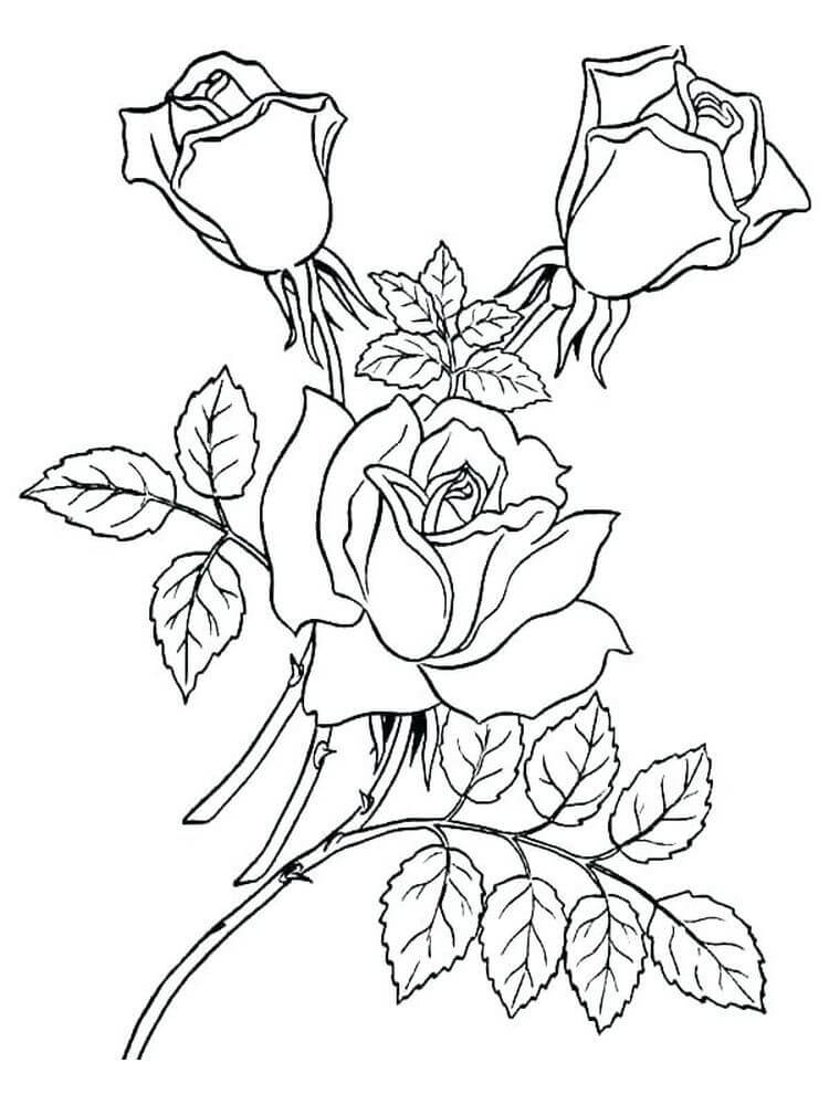 Dibujo de Árbol de Rosas Impresionante para Colorear