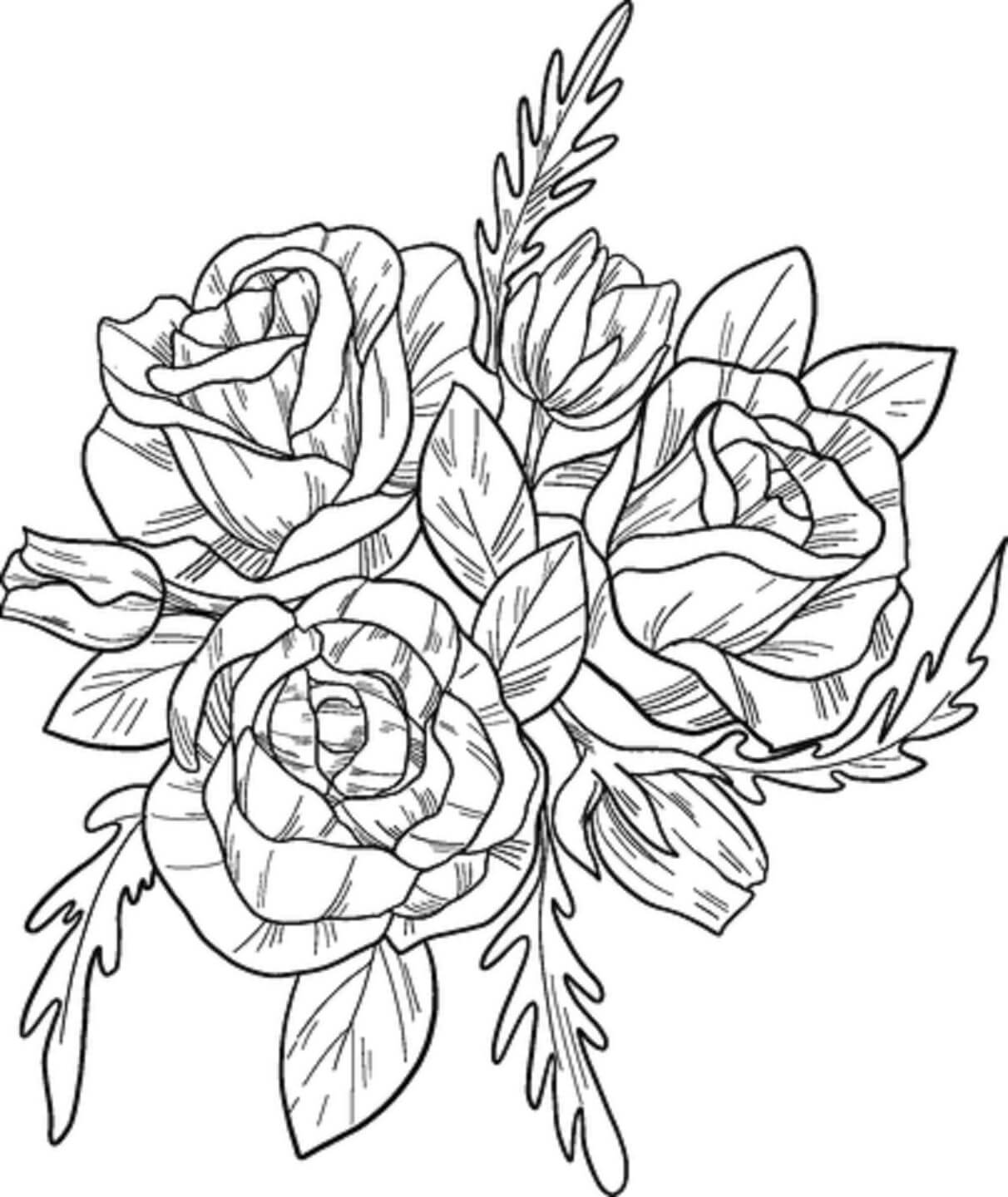 Dibujo de Buenas Rosas para Colorear