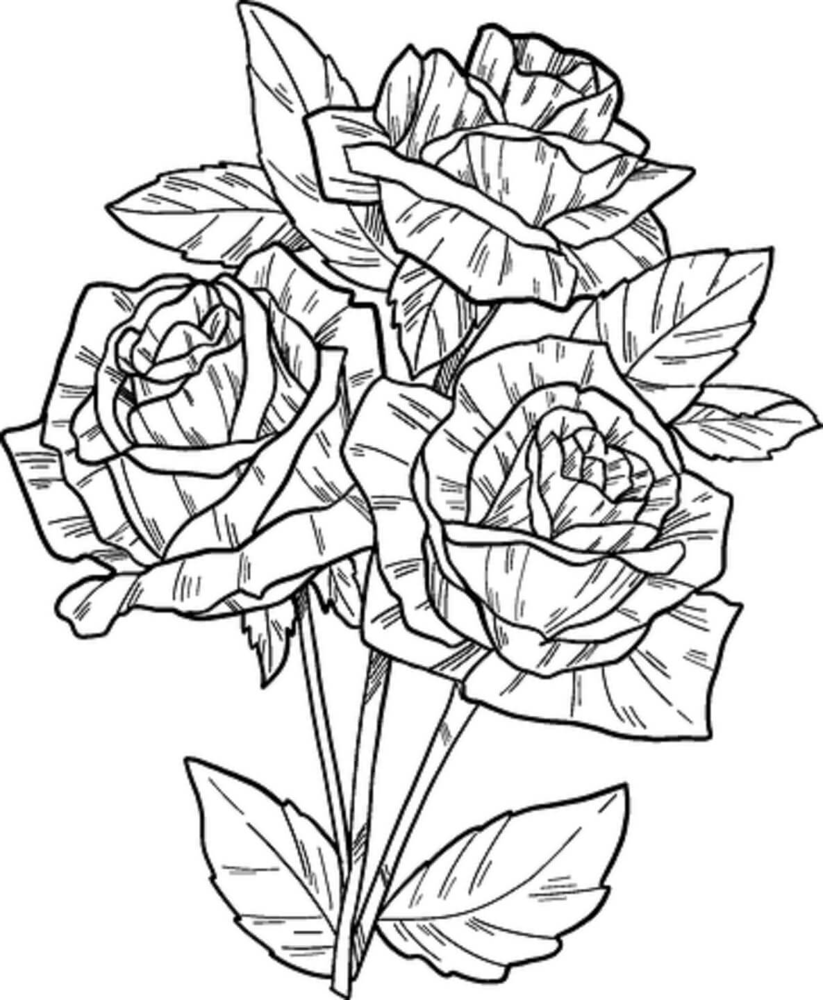 Dibujo de Mano Dibujar Rosa para Colorear