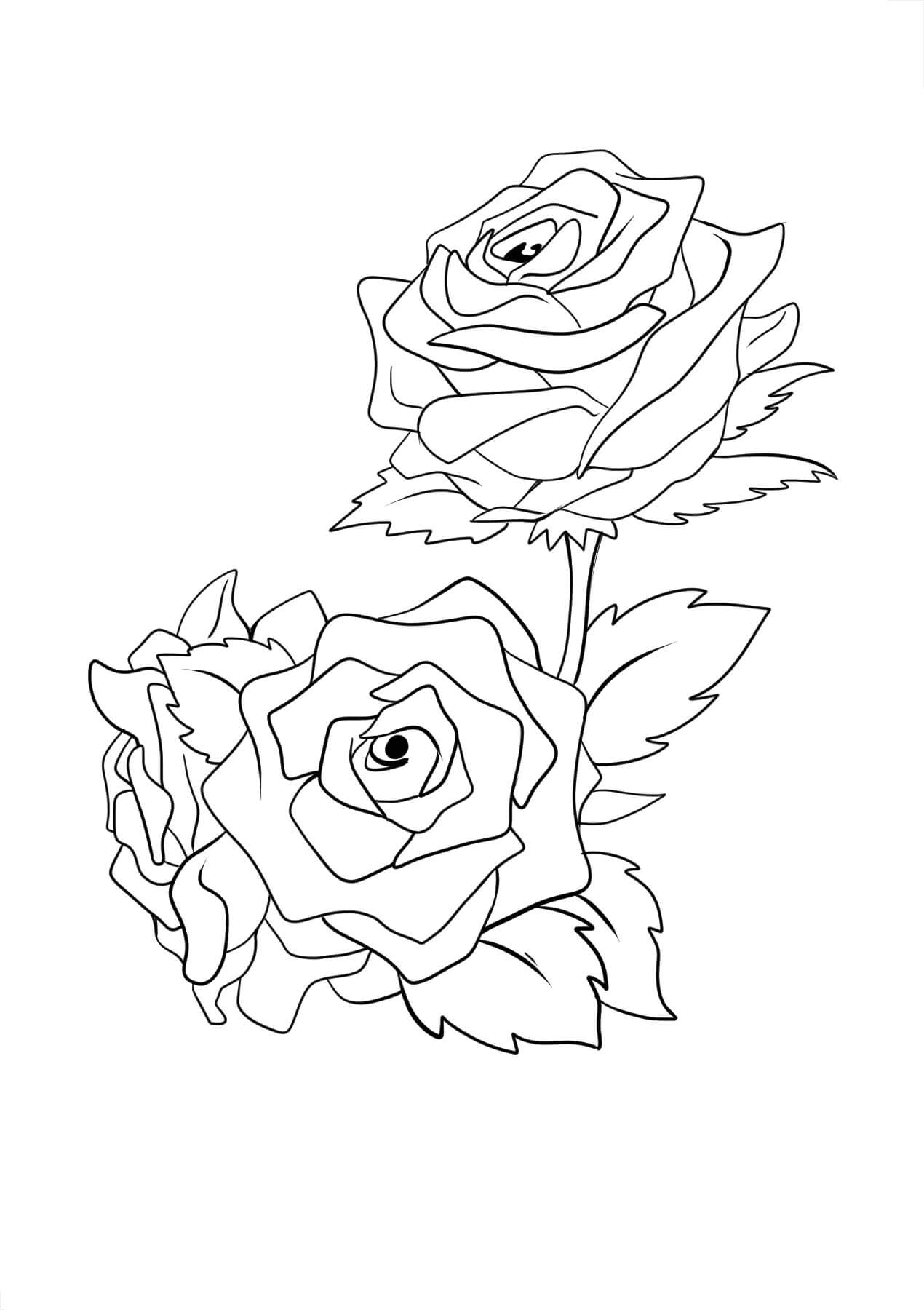 Dibujo de Rosa Asombrosa para Colorear