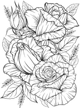 Dibujo de Rosas Bonitas para Colorear