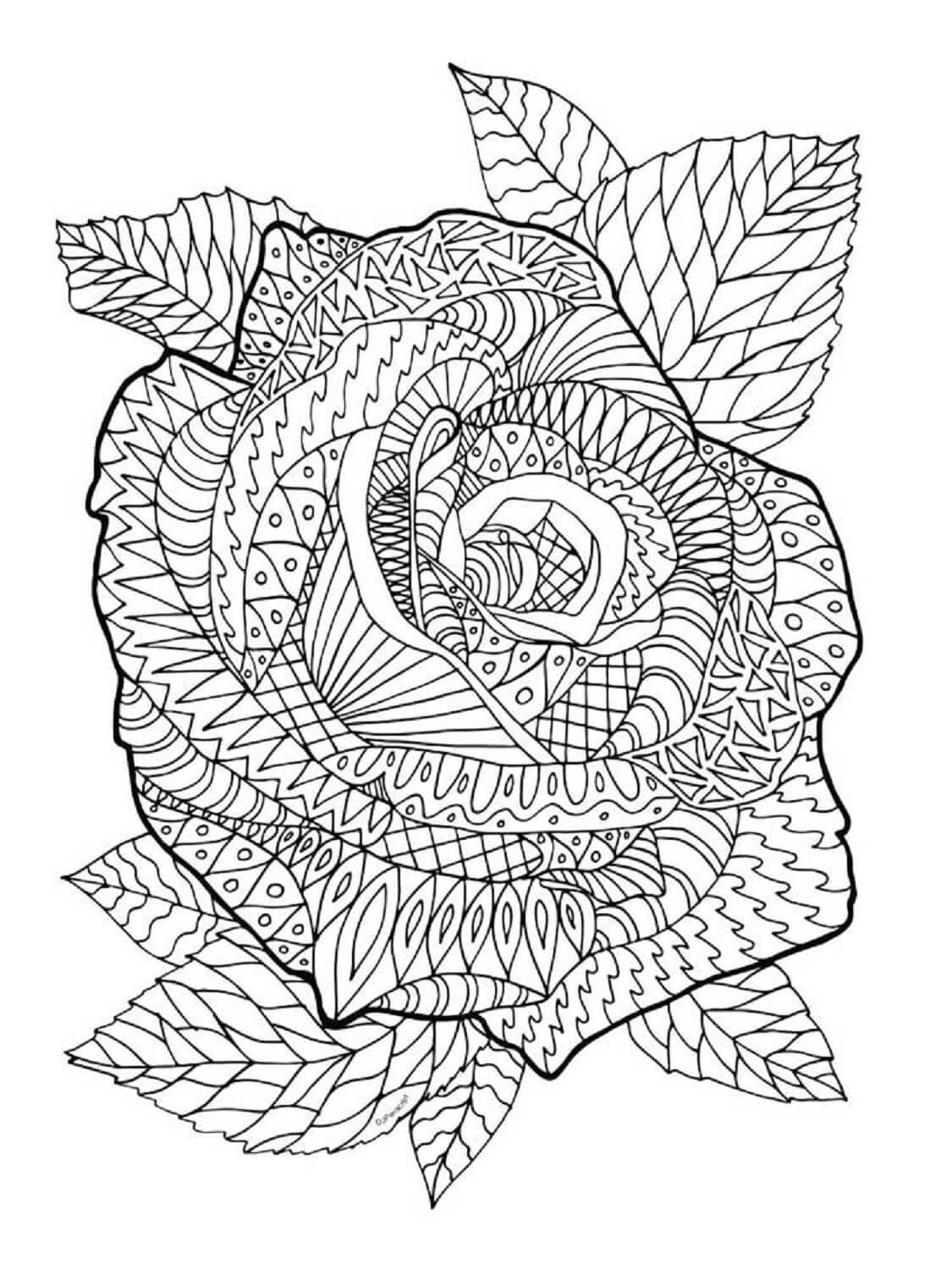 Dibujo de Rosas Zentangle para Colorear