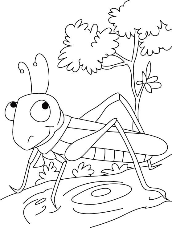 Dibujo de El Showstopper Saltamontes para Colorear