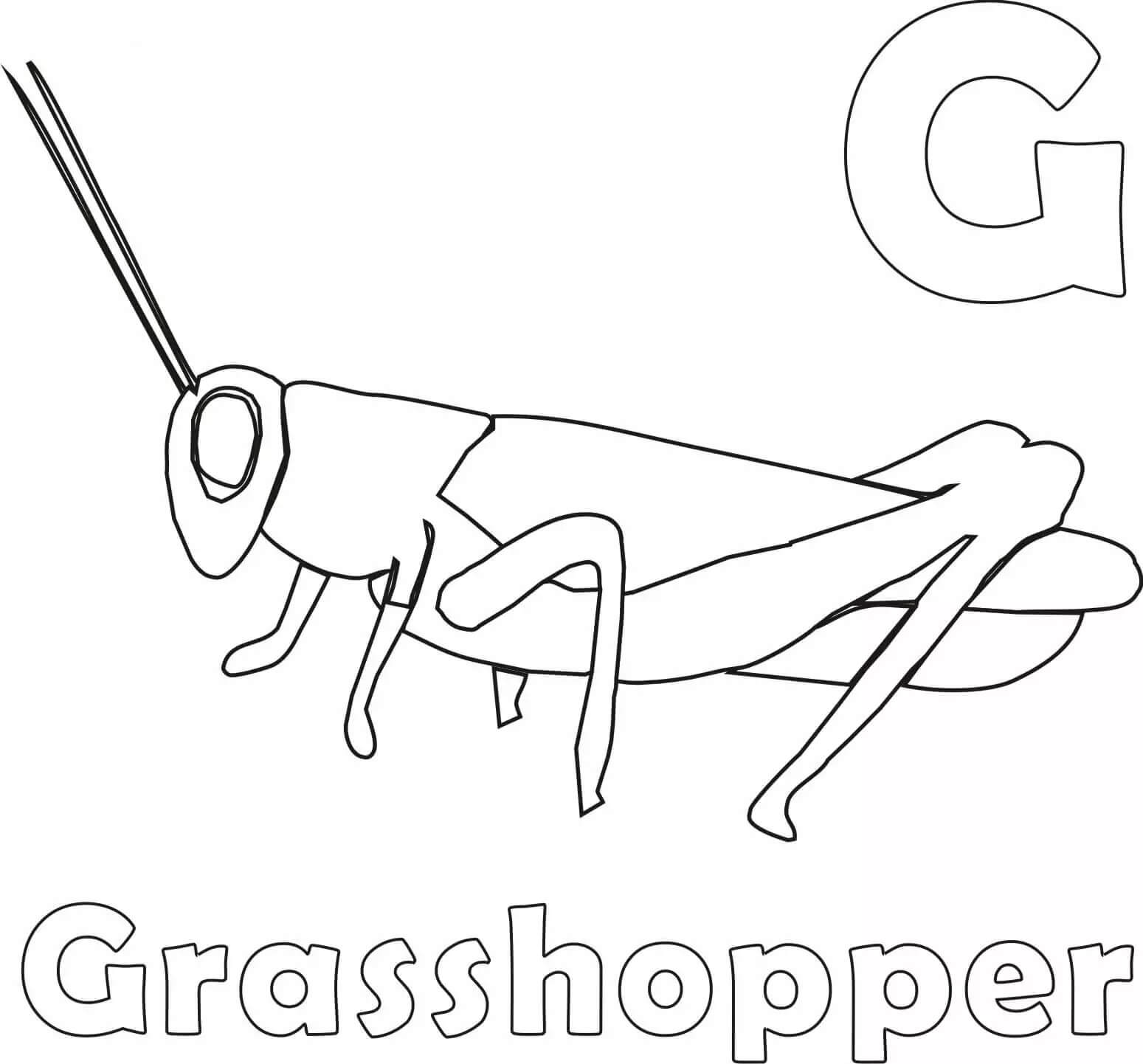 Dibujo de G y Saltamontes para Colorear