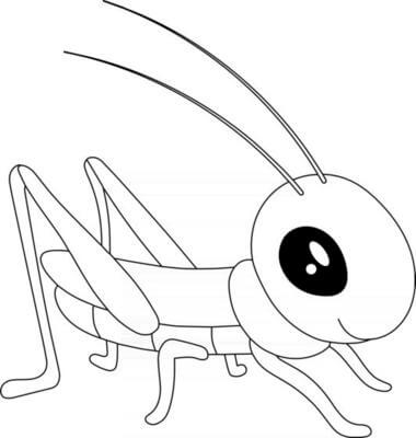Dibujo de Saltamontes Fresco 1 para Colorear