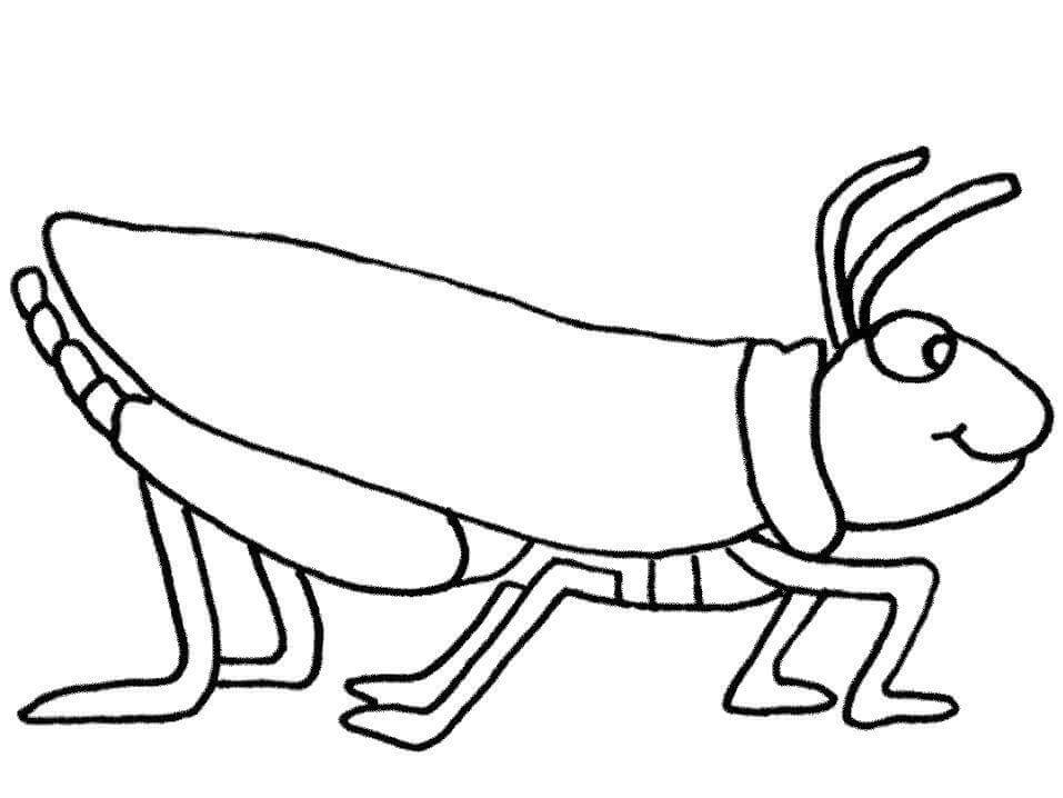 Dibujo de Saltamontes Impresionante para Colorear
