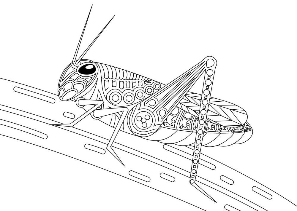 Dibujo de Saltamontes Monocromo para Colorear