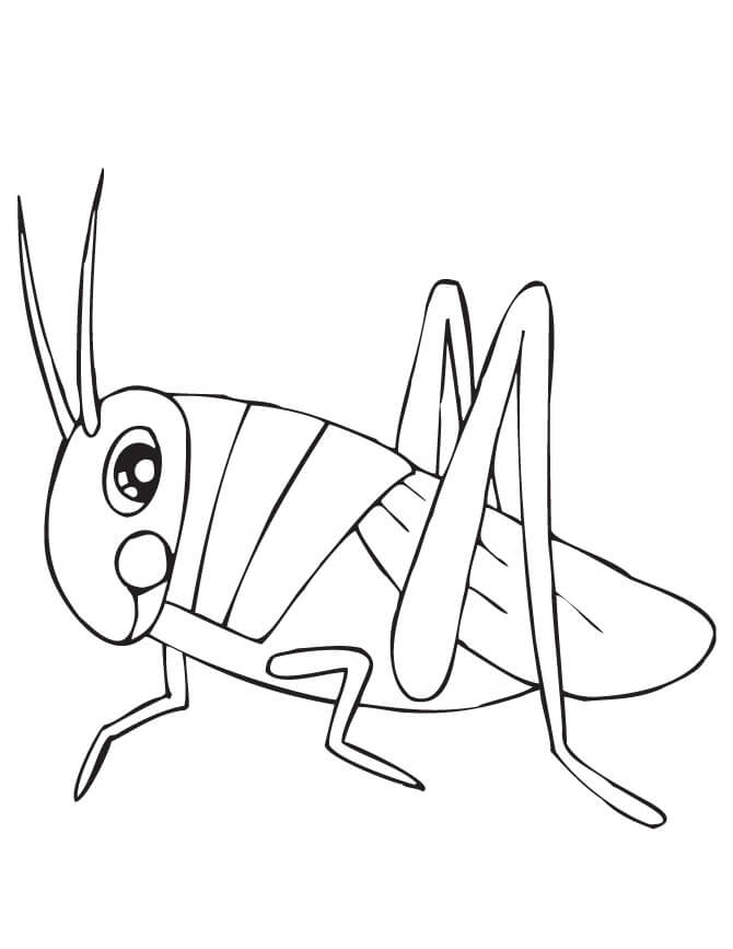 Dibujo de Saltamontes Simple para Colorear