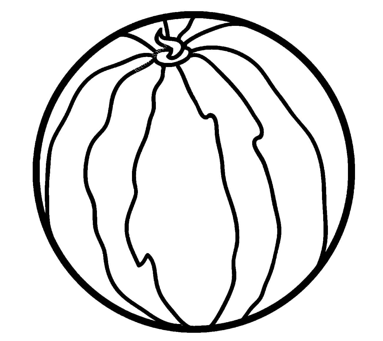 Dibujo de Sandía Normal para Colorear