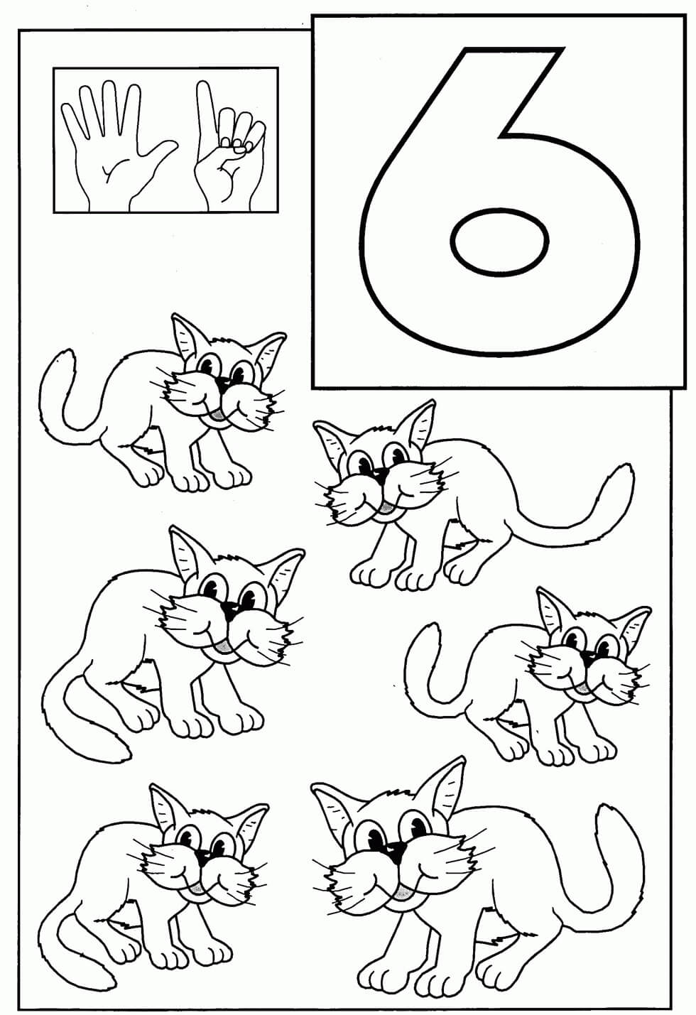 Dibujo de Gato número Seis y Seis para Colorear
