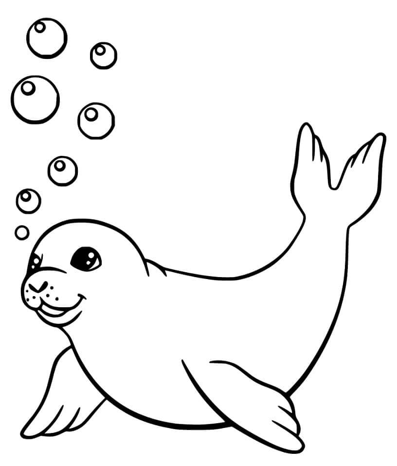 Dibujo de Foca Nadando para Colorear