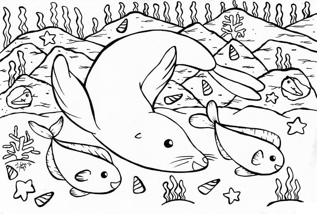 Dibujo de Focas y Peces para Colorear