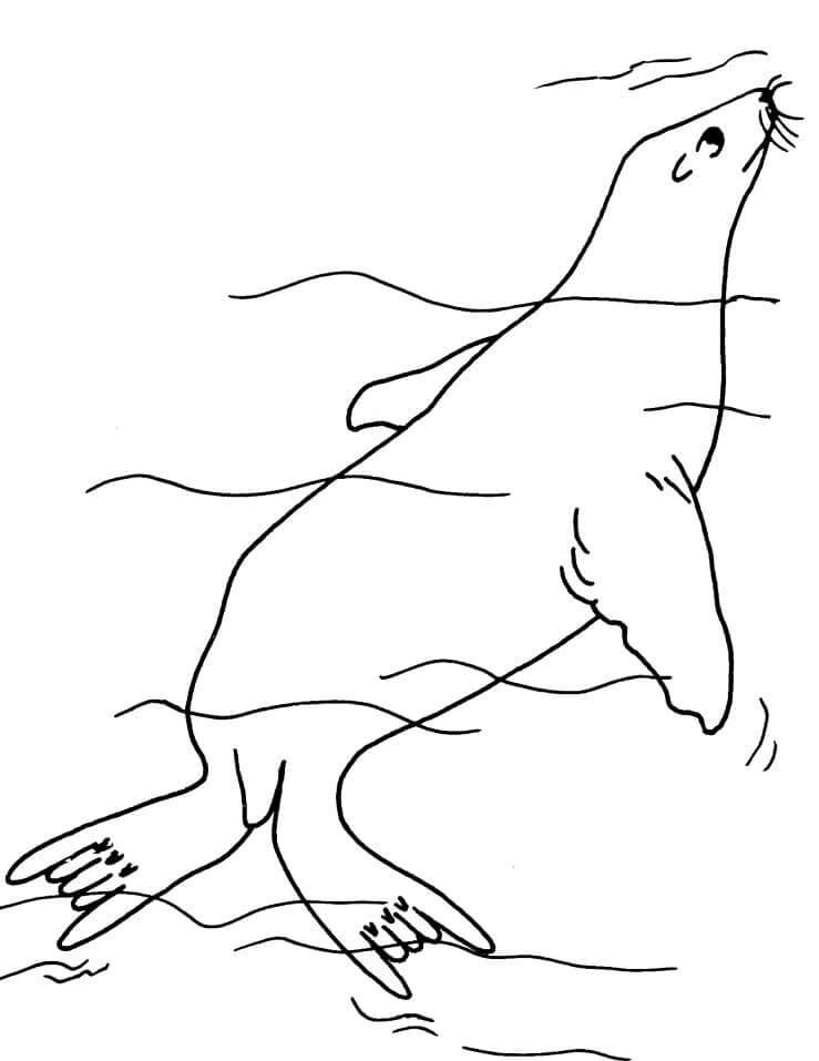 Dibujo de Sellar Bajo el Agua para Colorear