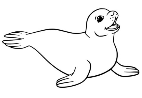 Dibujo de Sello Feliz para Colorear