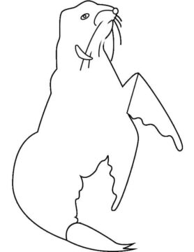 Dibujo de Sello Libre para Colorear