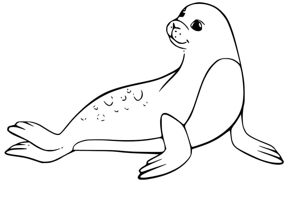 Dibujo de Sello Sonriendo para Colorear
