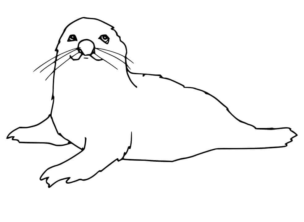 Dibujo de Sello de Mentira para Colorear