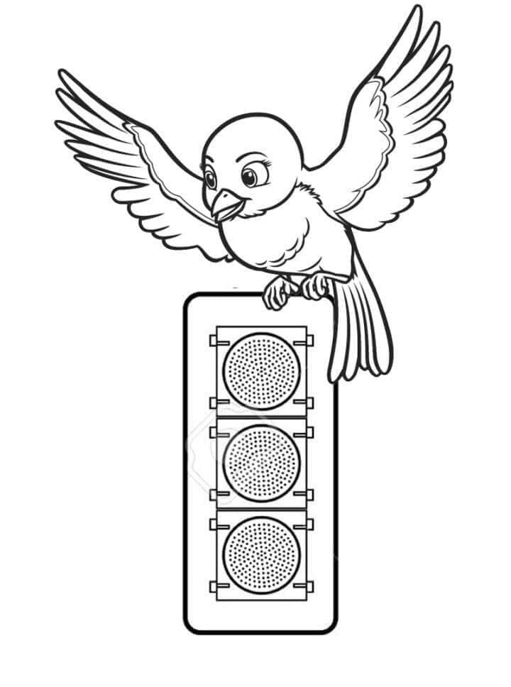 Dibujo de Pájaro en Semaforo para Colorear