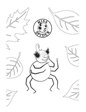 Dibujo de Señorita araña para Colorear